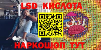 ГАЛЛЮЦИНОГЕННЫЕ ГРИБЫ Конаково