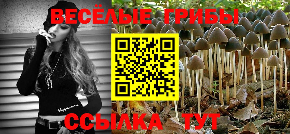 Галлюциногенные грибы Psilocybe  Вход с VPN  Бугуруслан 